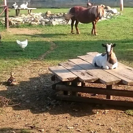 Frühstückspension Ciliegissima 3*