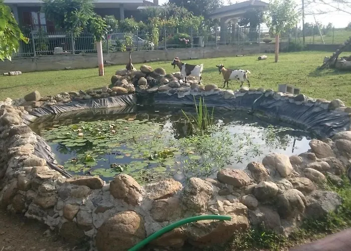 Ciliegissima Pecetto