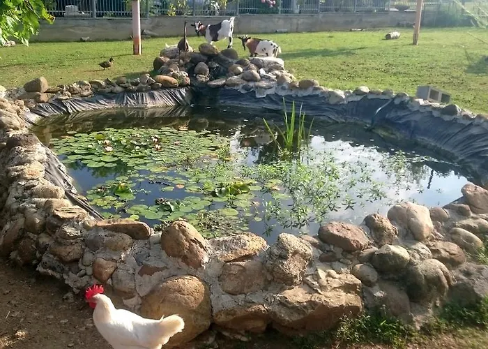 Ciliegissima Pecetto