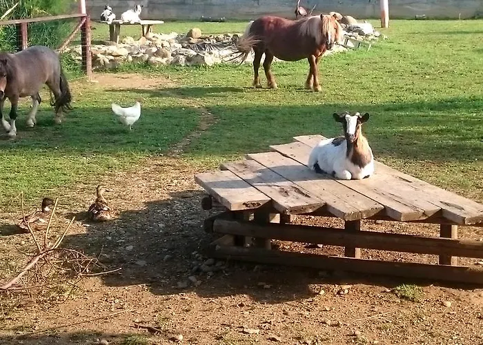 Couette-café Ciliegissima 3*